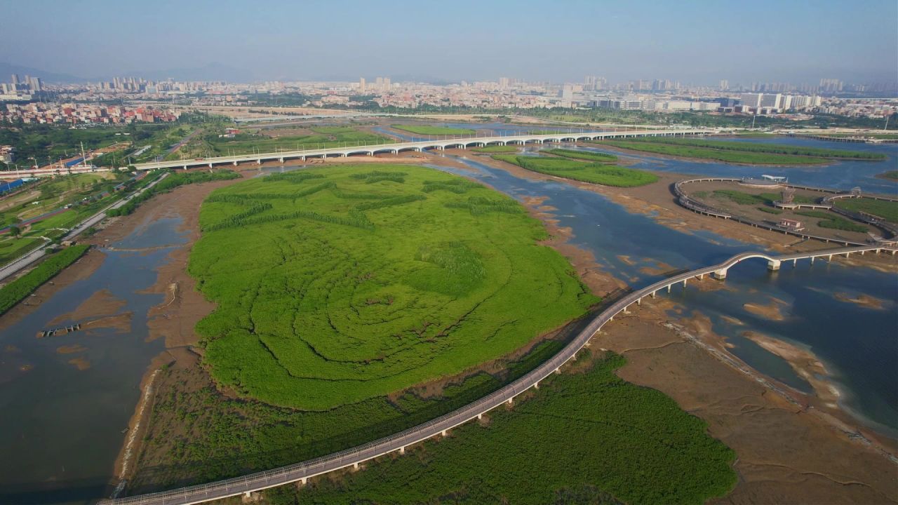 厦门航拍下潭尾湿地公园
