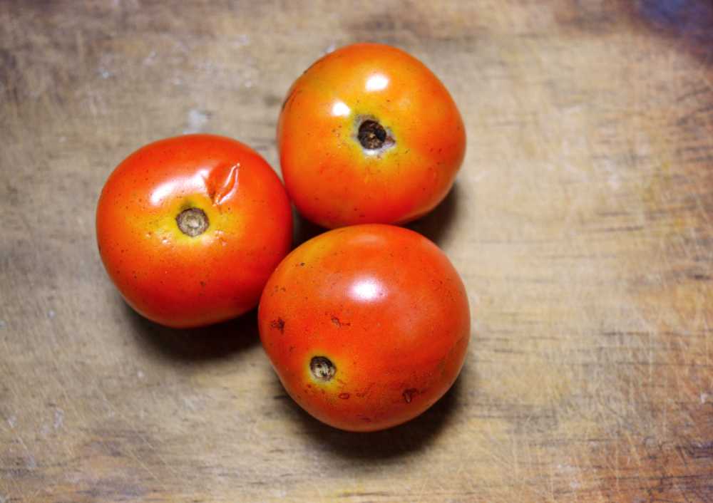 番茄蔬菜蕃茄食品