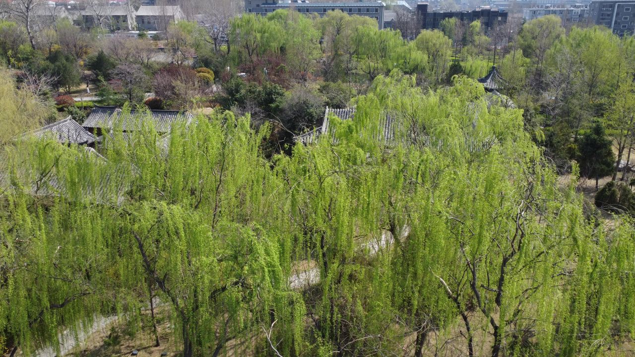 山东济南 14