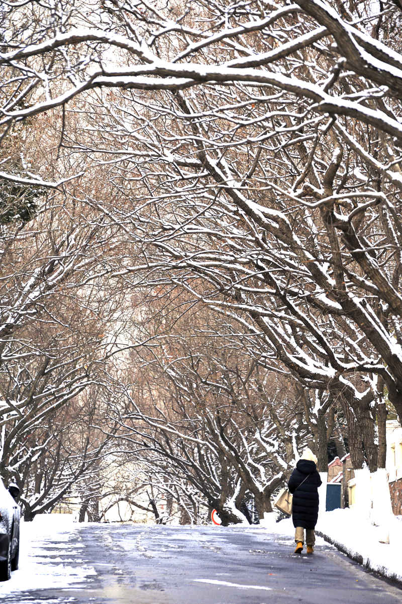 雪后八大关