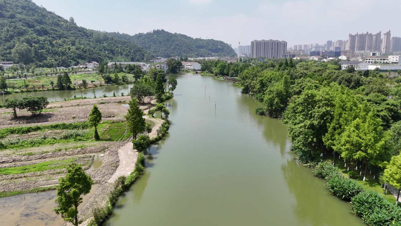 河畔绿意盎然的城市风光