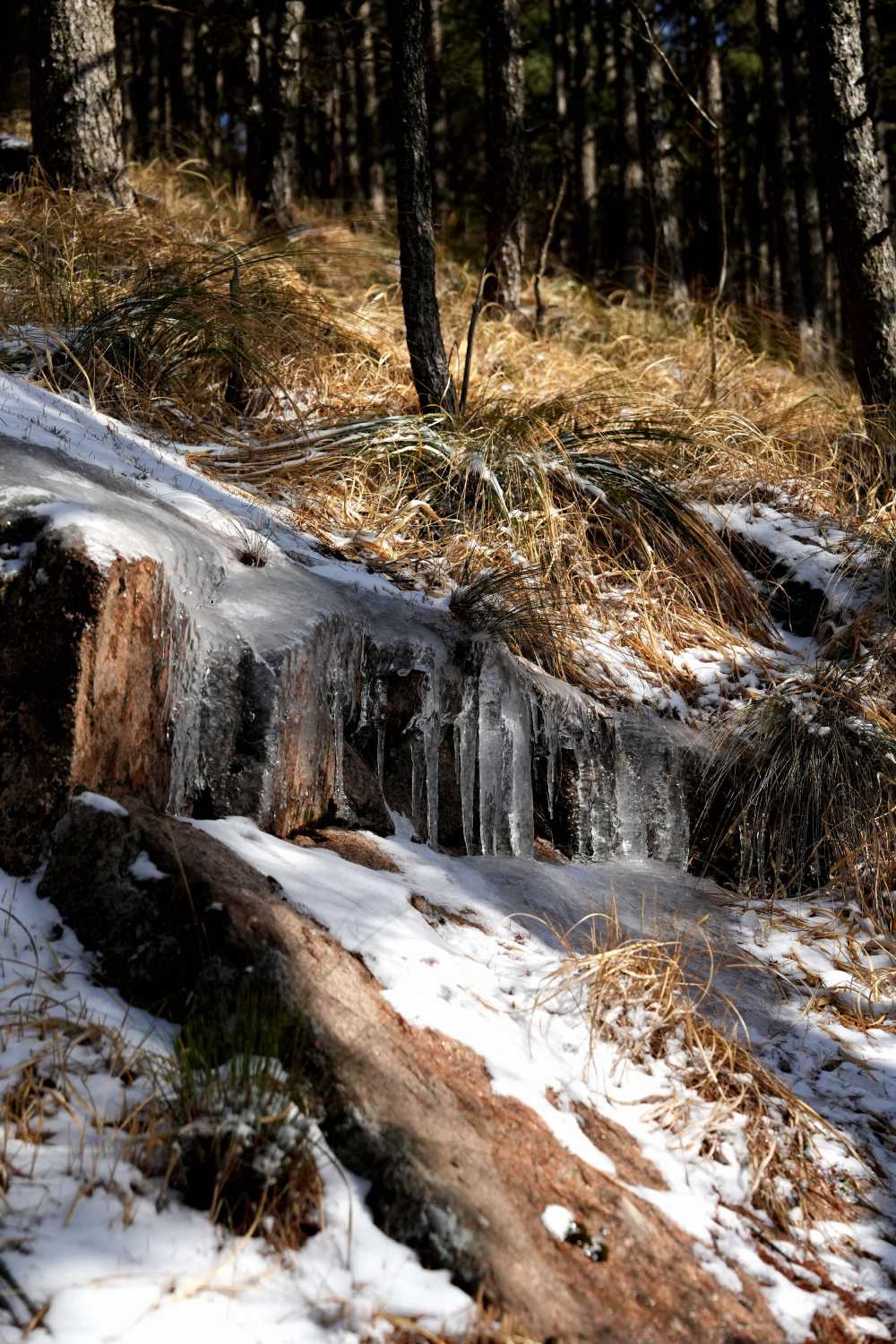 雪落黄山，雾凇云海——雪篇