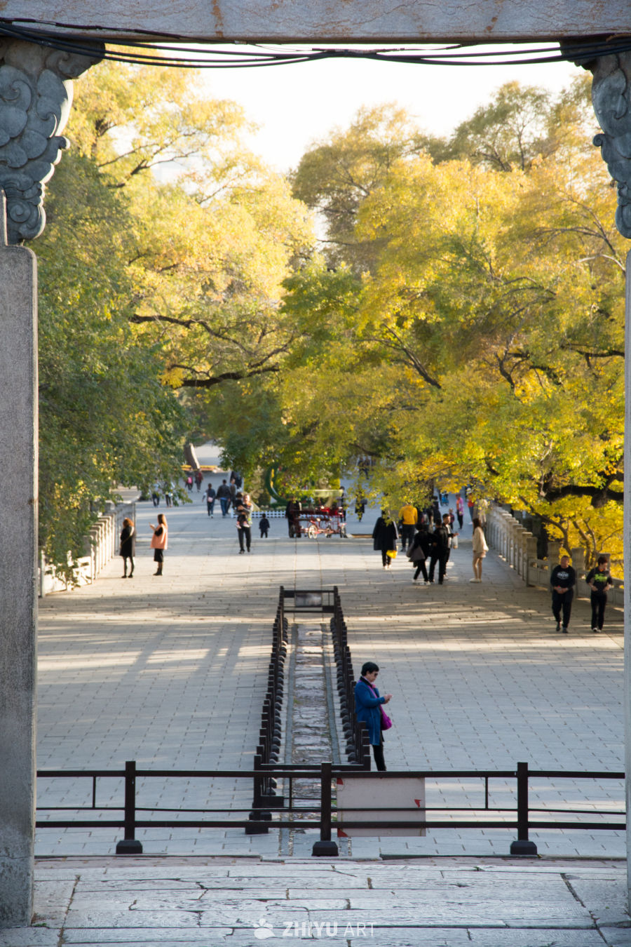 城市公园秋景