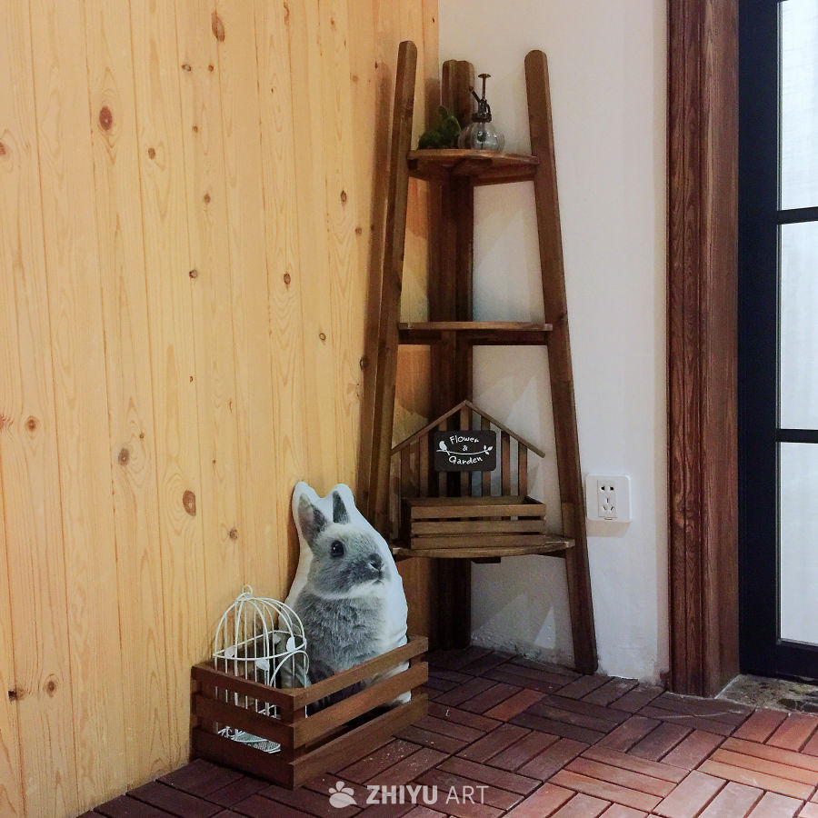 温馨小屋里的兔子