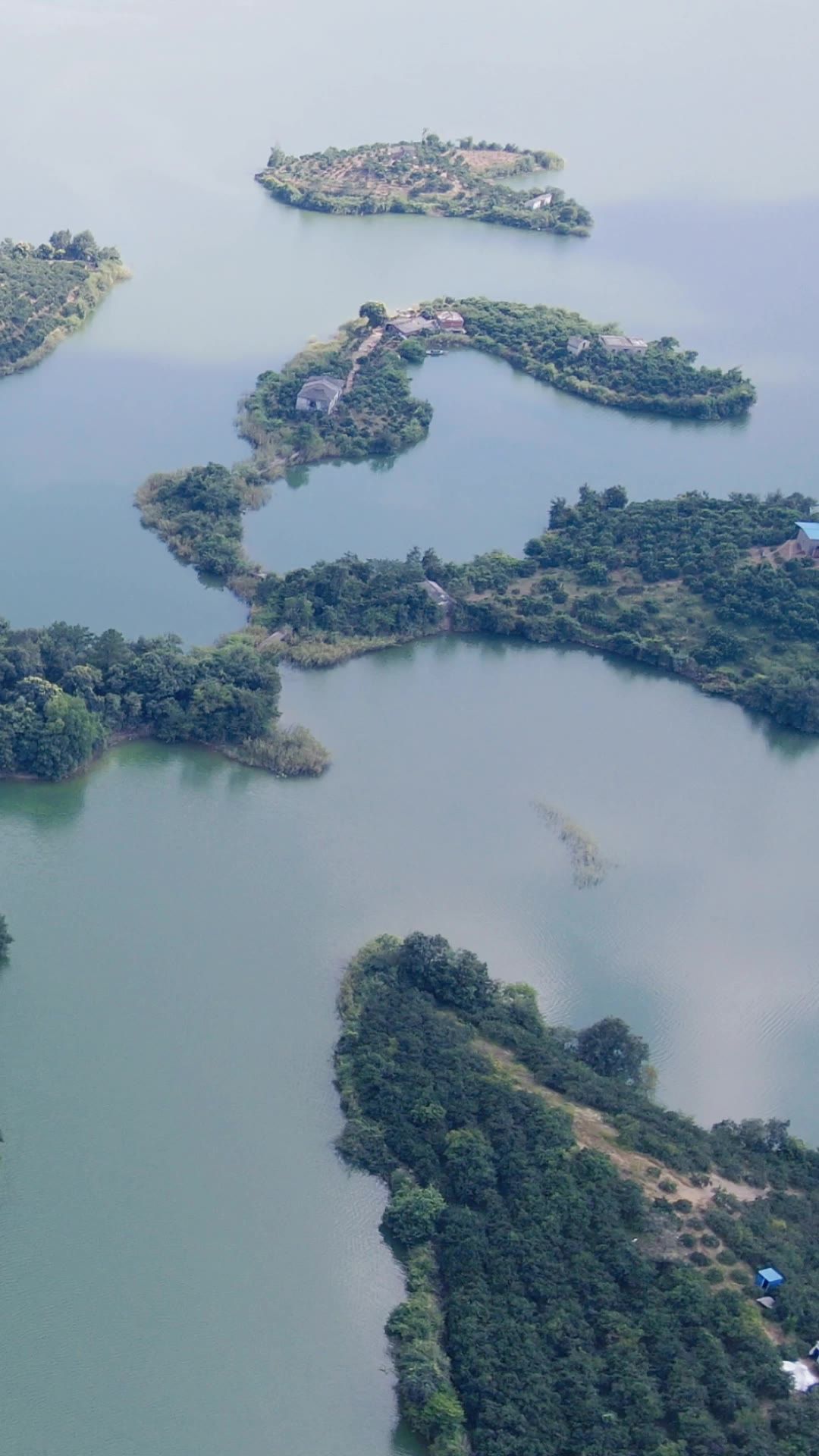 旅游景区湖北陆水湖竖屏航拍