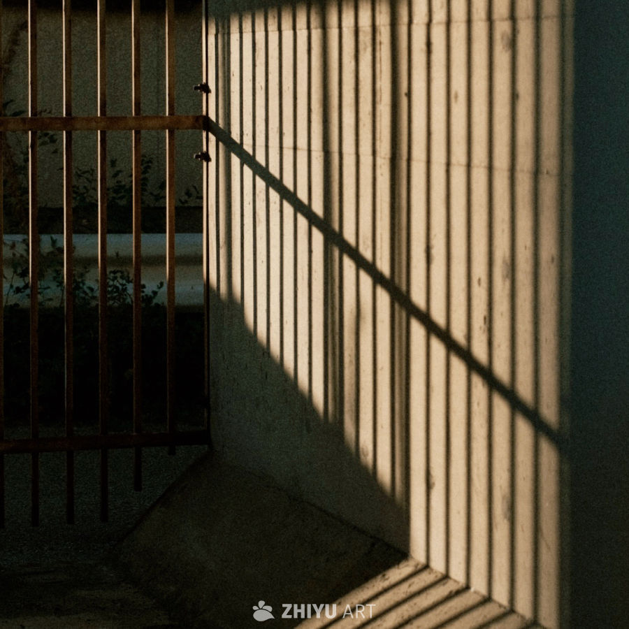 珊栏