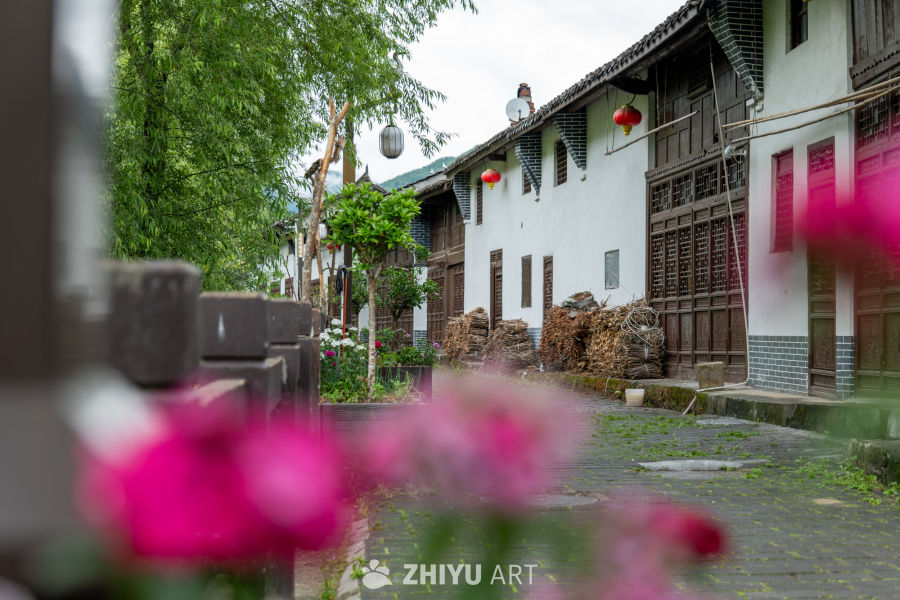 华阳古镇（一） 24