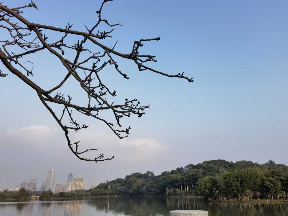 湖