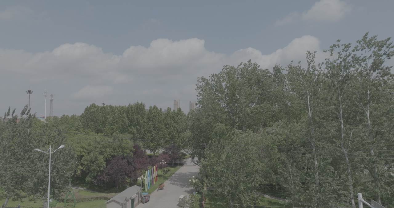 城市绿洲与现代都市