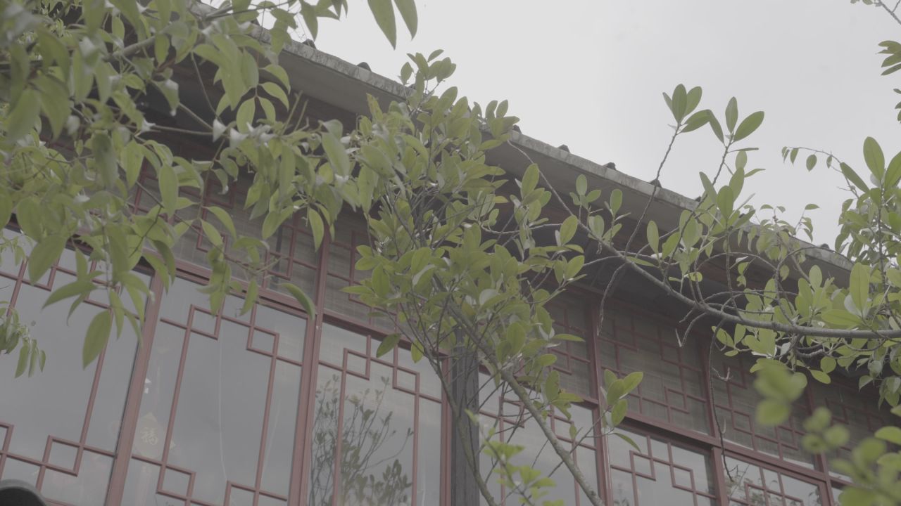农庄、花 16