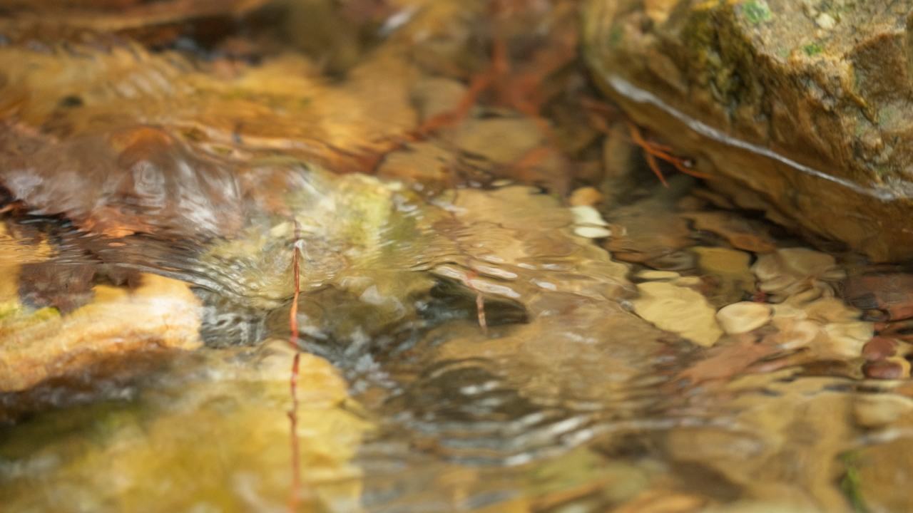 山泉水矿泉水潺潺小溪流水瀑布 23