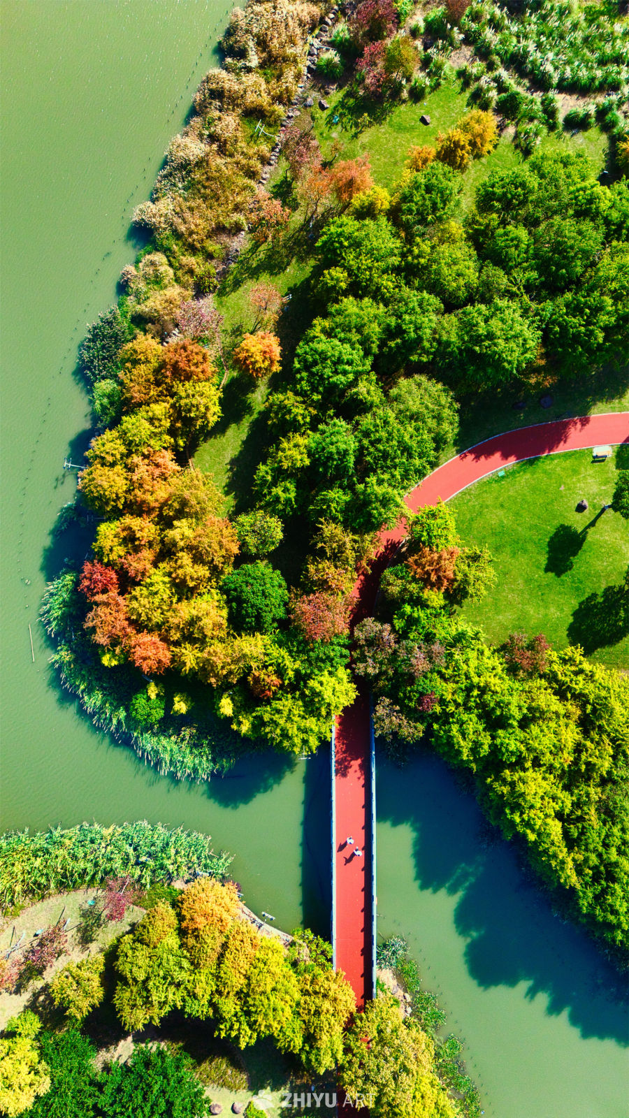 初冬的清和公园