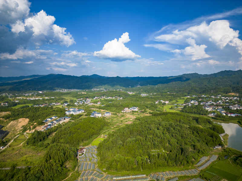 乡村田园农业种植农田乡村摄影图 