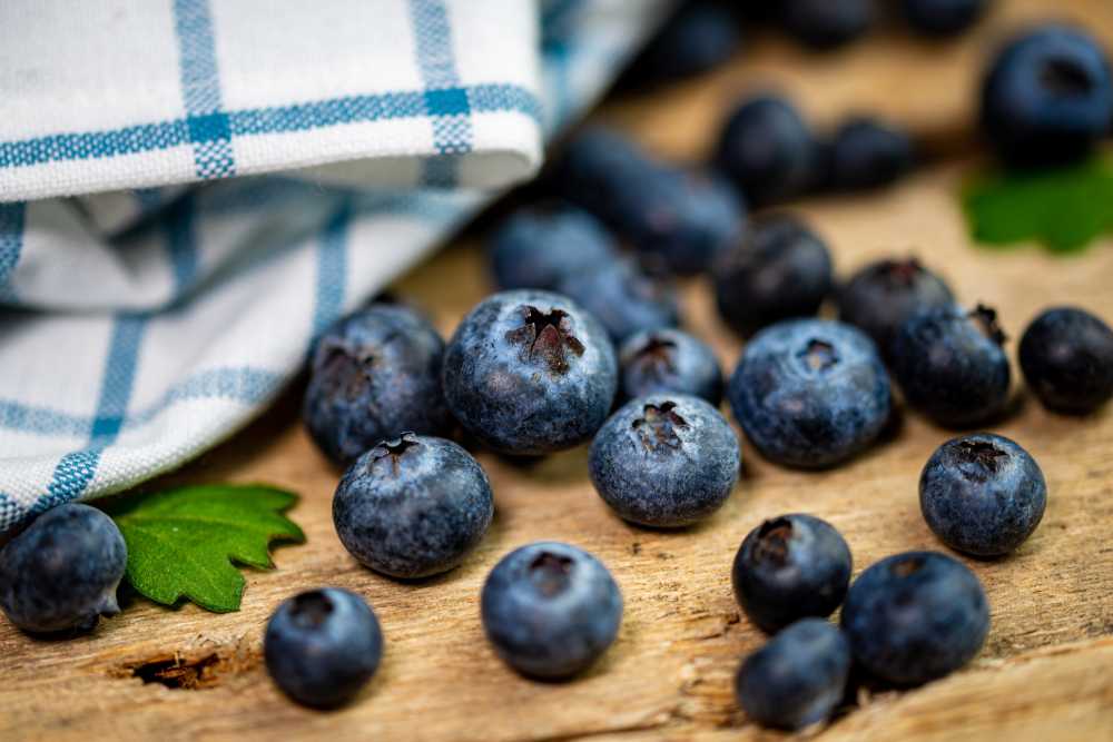 蓝莓收获水果食品