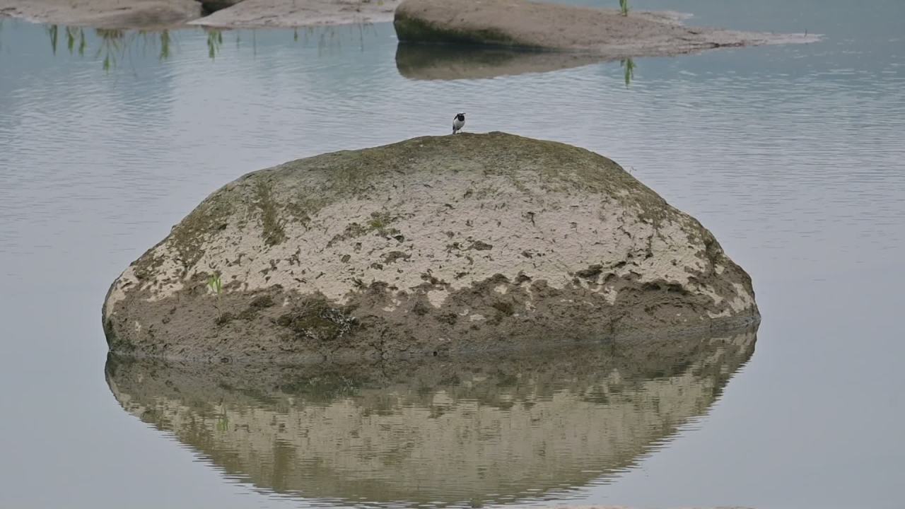 镜