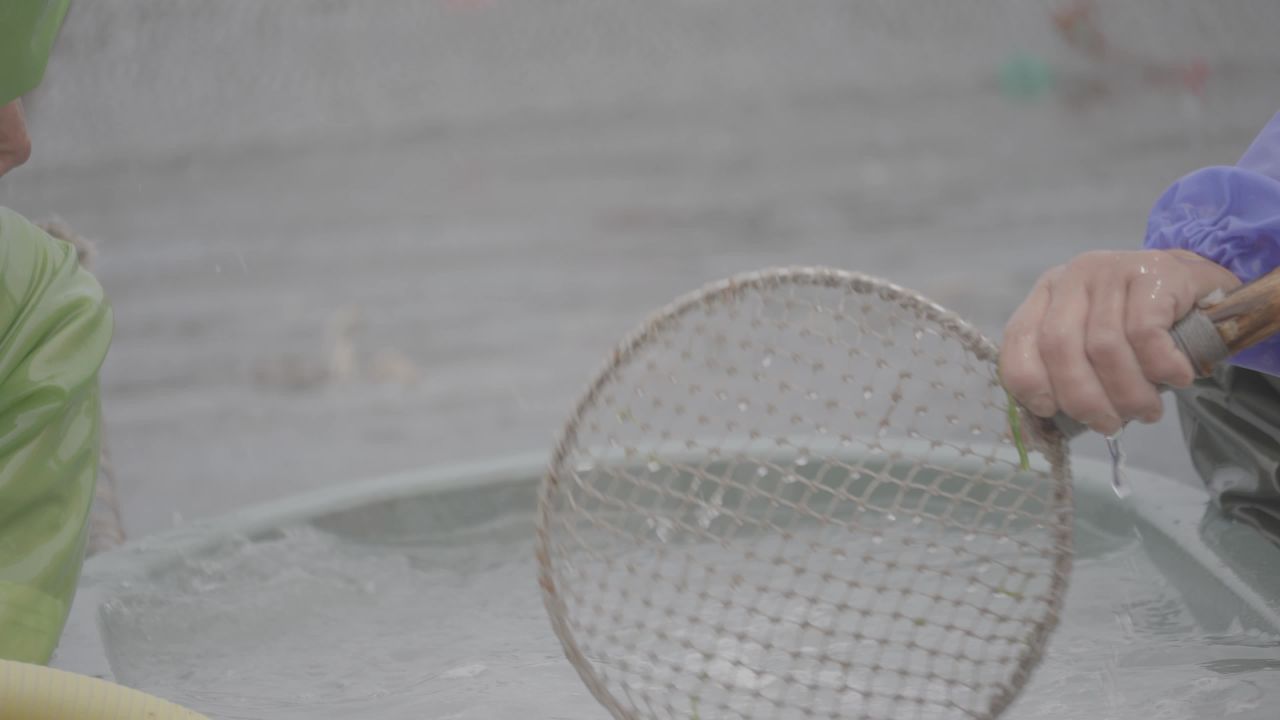 渔民捞鱼作业场景