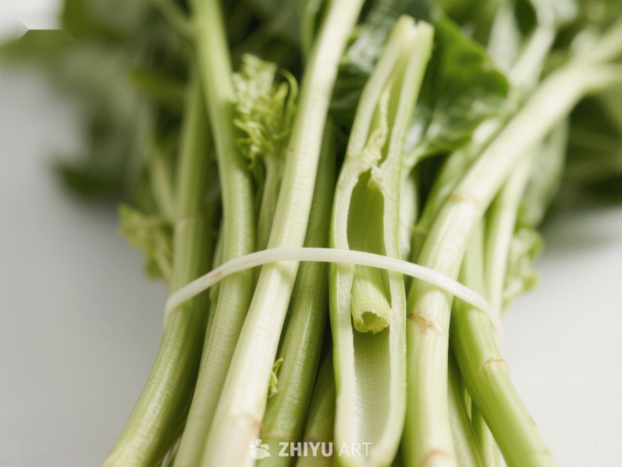 新鲜绿色蔬菜束 535