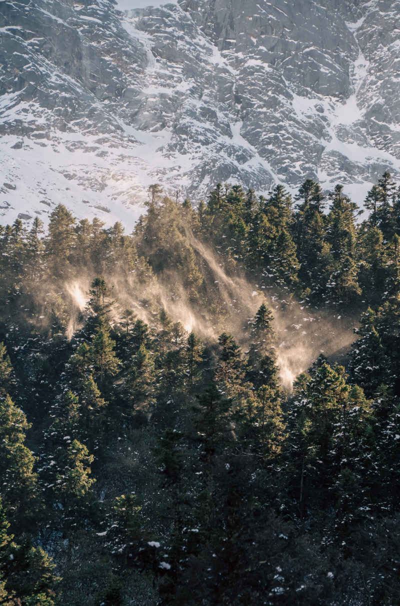 飞雪