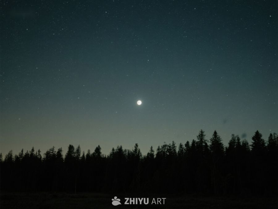 夜空下的森林与明月 365