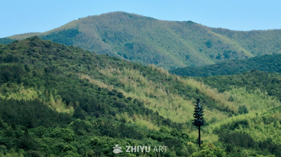 青山绿水间的宁静时光