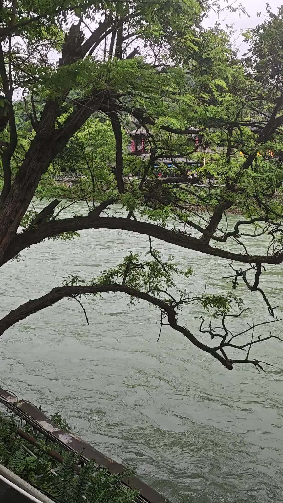 都江堰南桥 3
