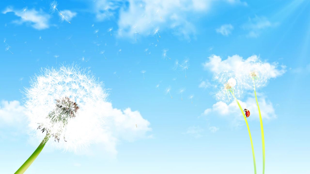 小清新蒲公英梦幻粒子led视频素材 7