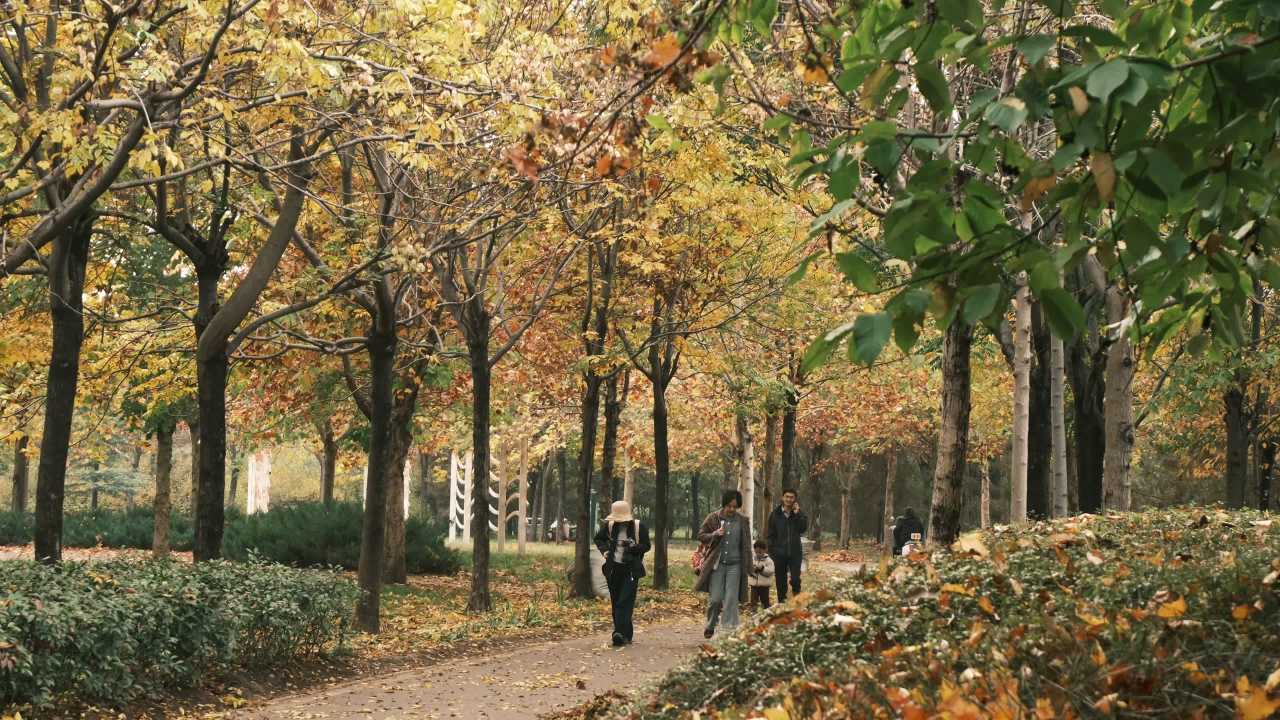 【实拍样片】富士X-S20相机实拍原片视频 8