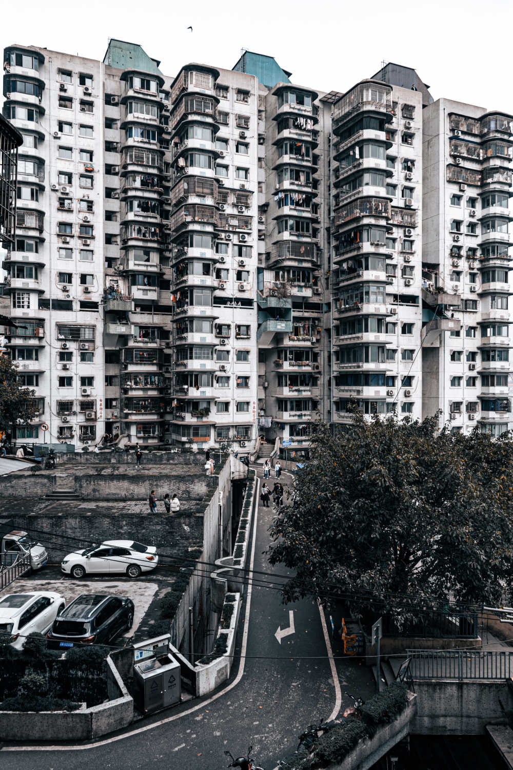 重庆白象局
