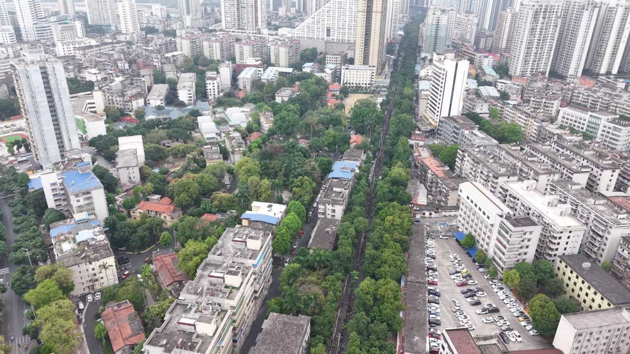 崇左 5