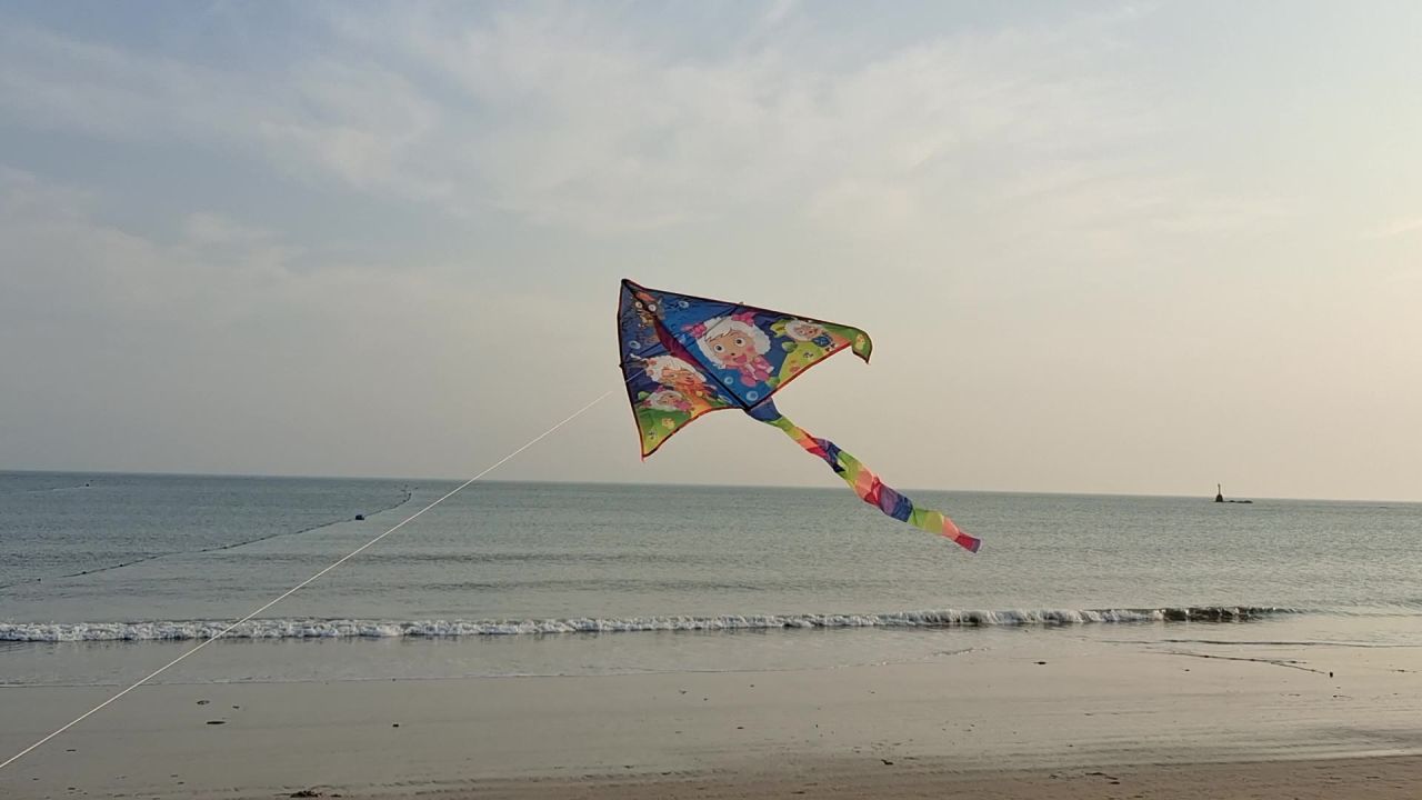 海边飞翔的风筝