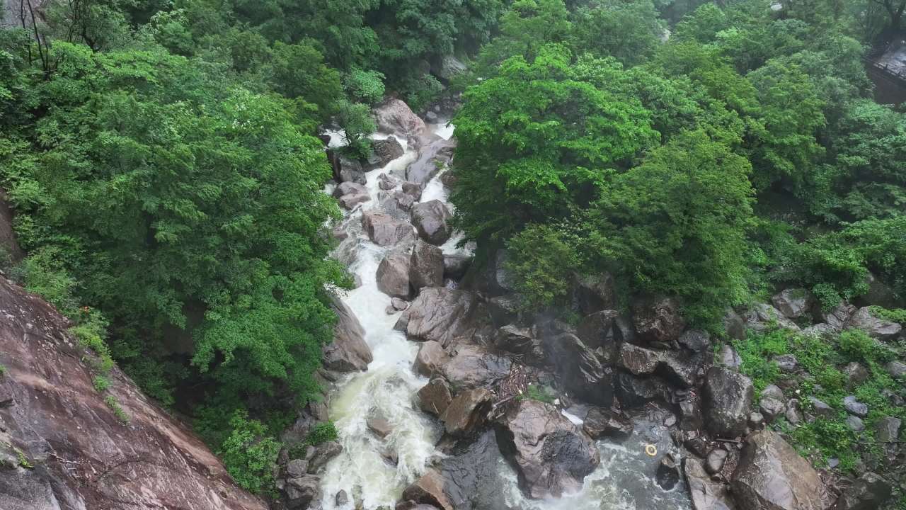 雨中森林瀑布