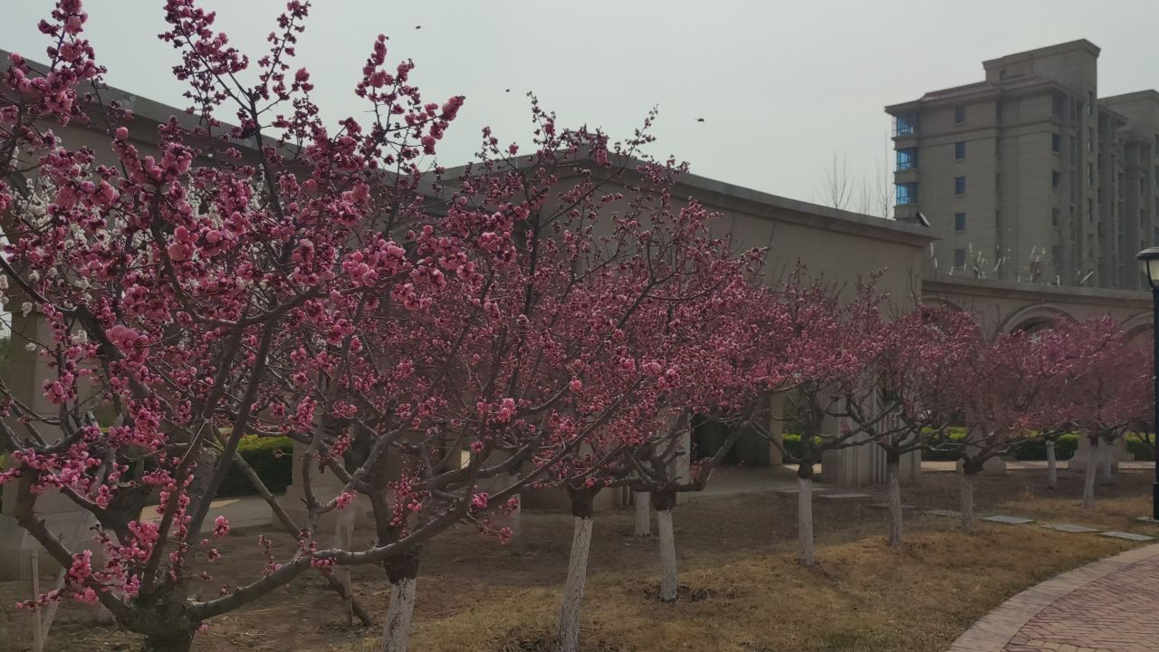 春景