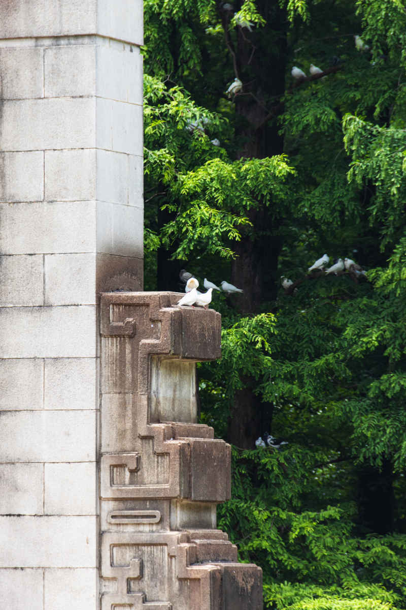 南京 38