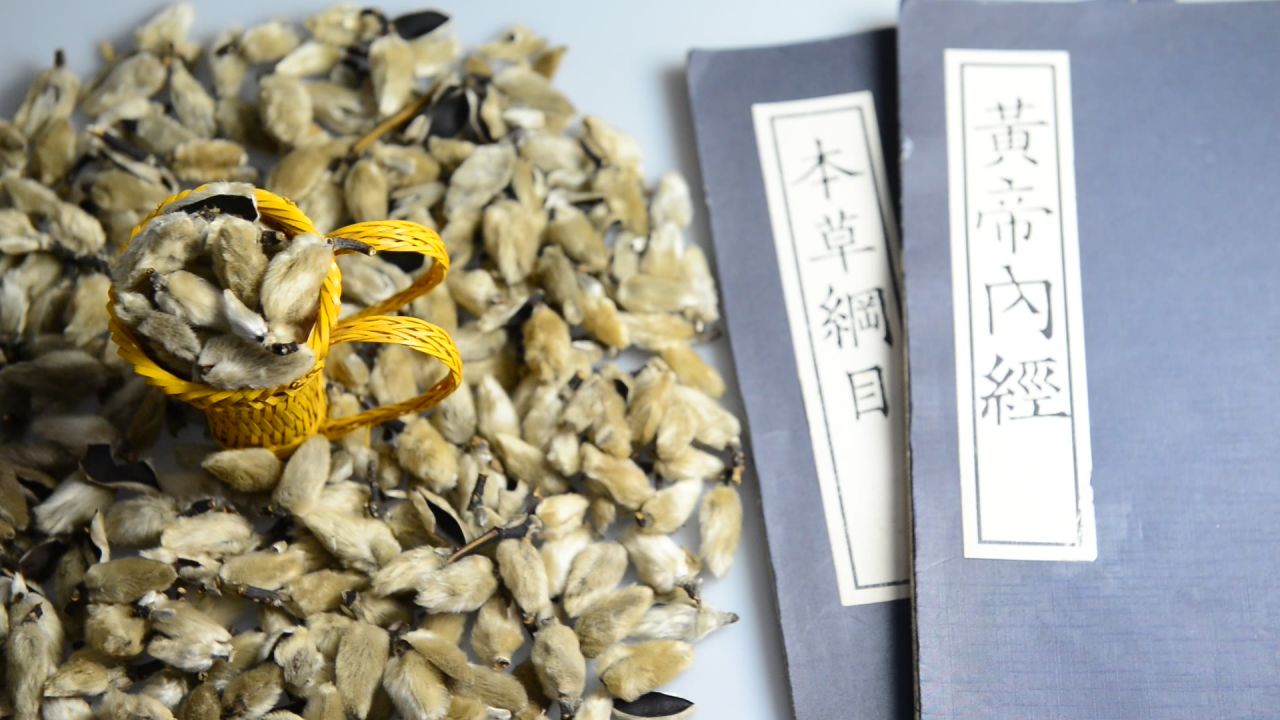中药材辛夷 13