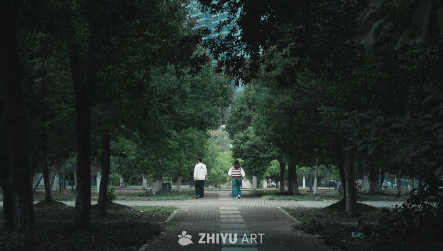 公园小径的悠闲时光