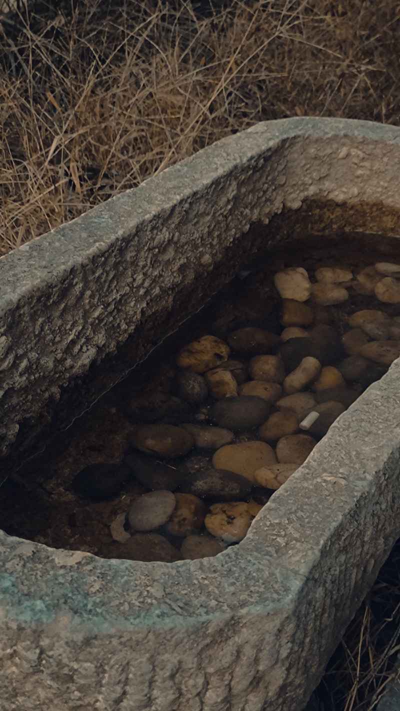 水槽