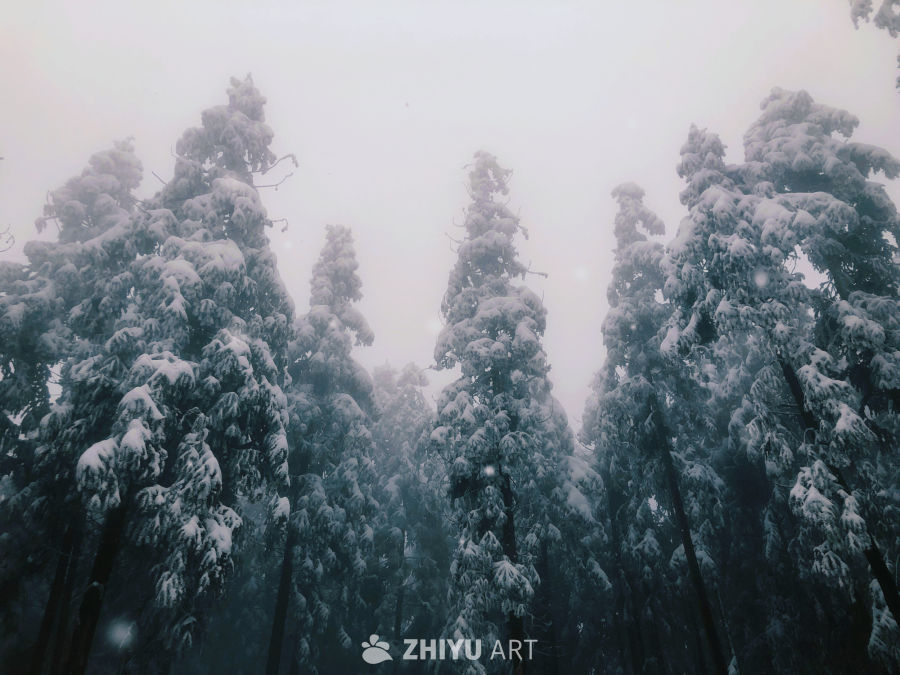 雪山