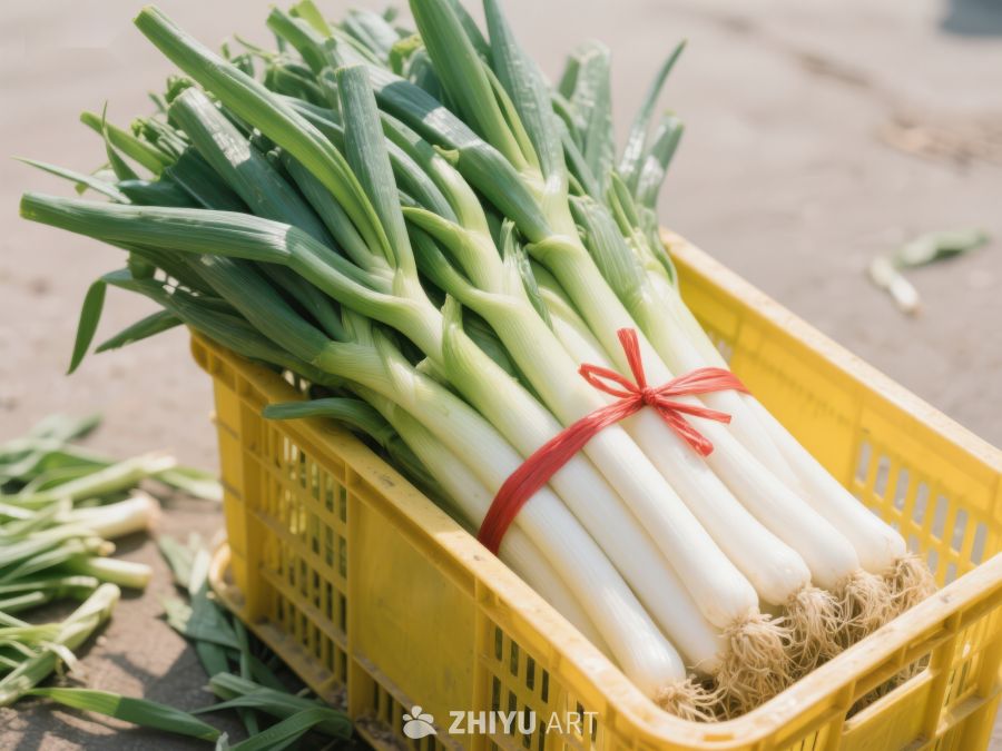 新鲜大葱捆扎在黄色塑料筐中 438