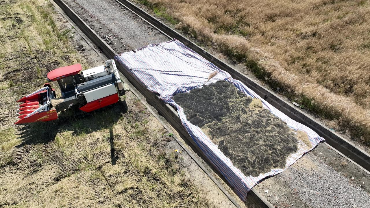 4K航拍昆山农业夏收 28