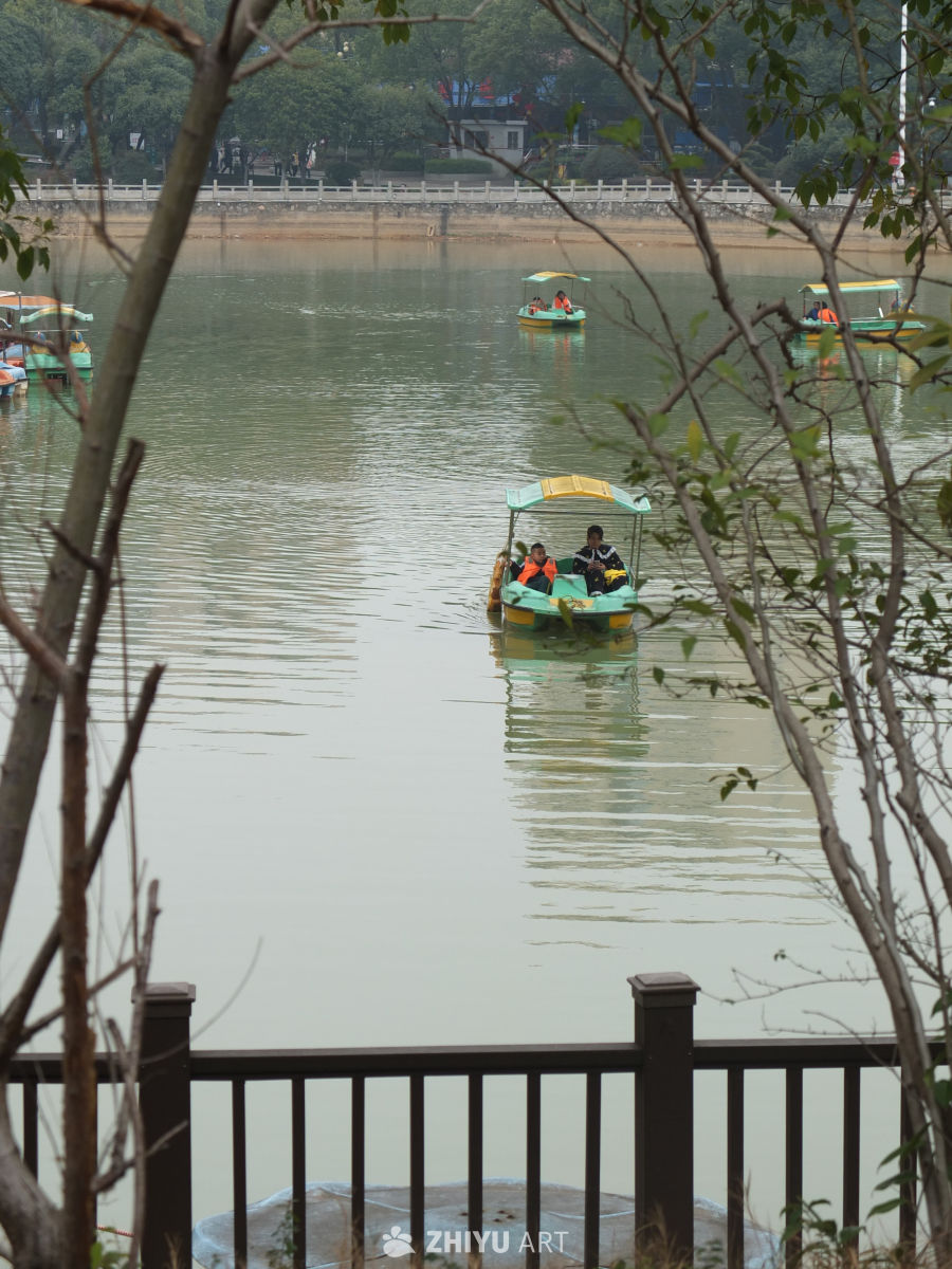 划船 15