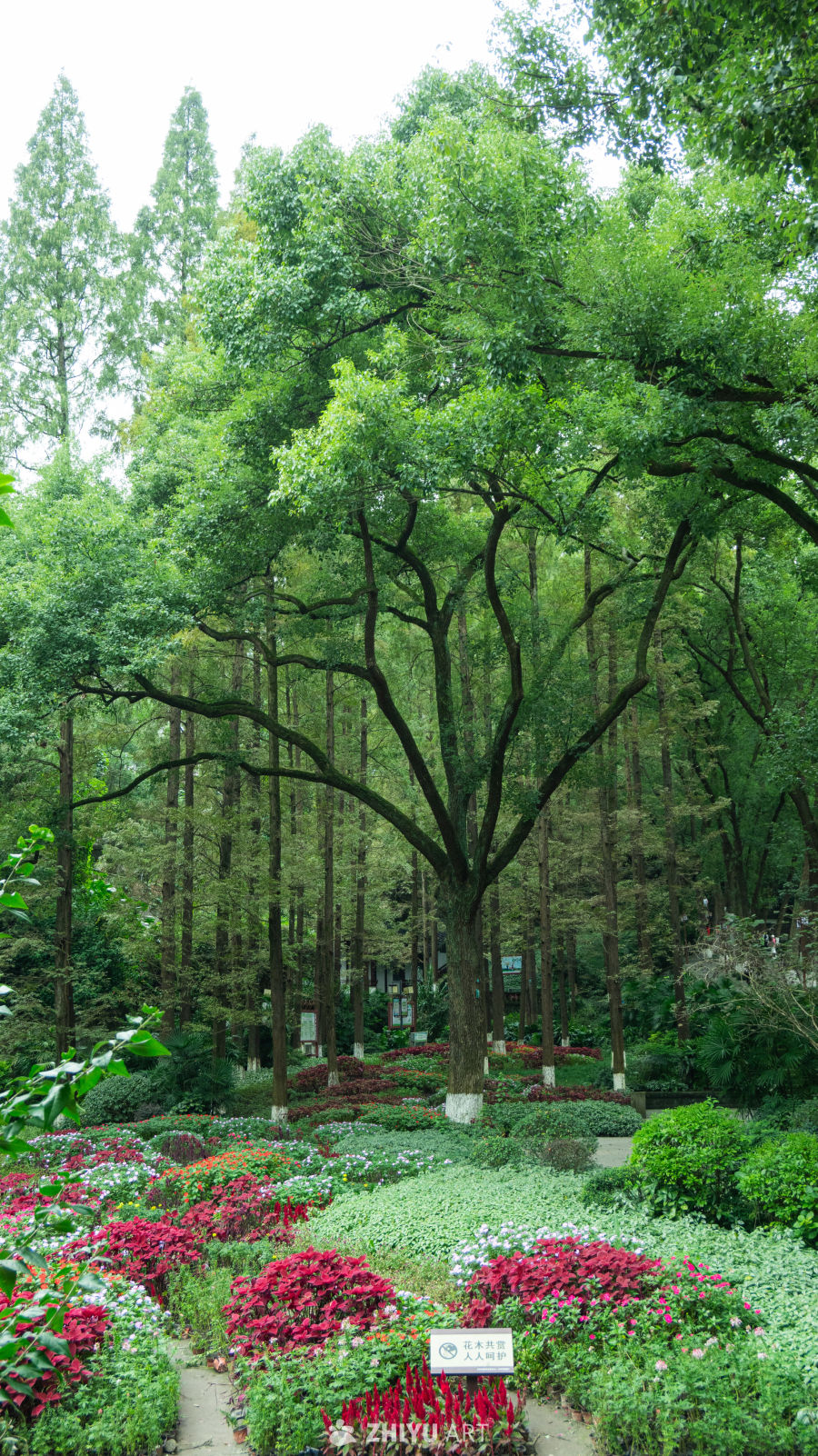 绿意盎然的花园一角