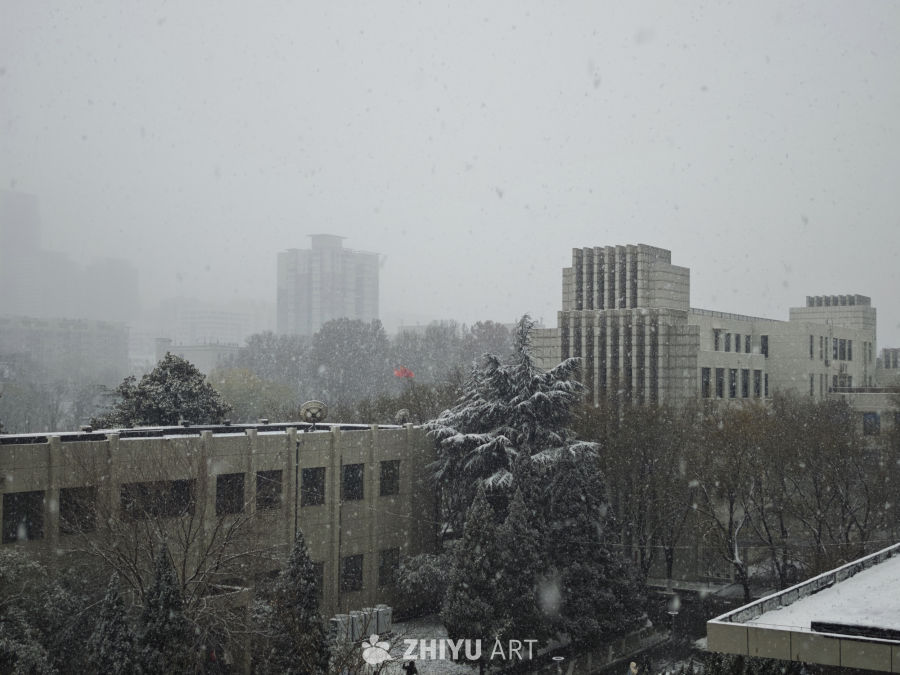 雪中城市静谧景