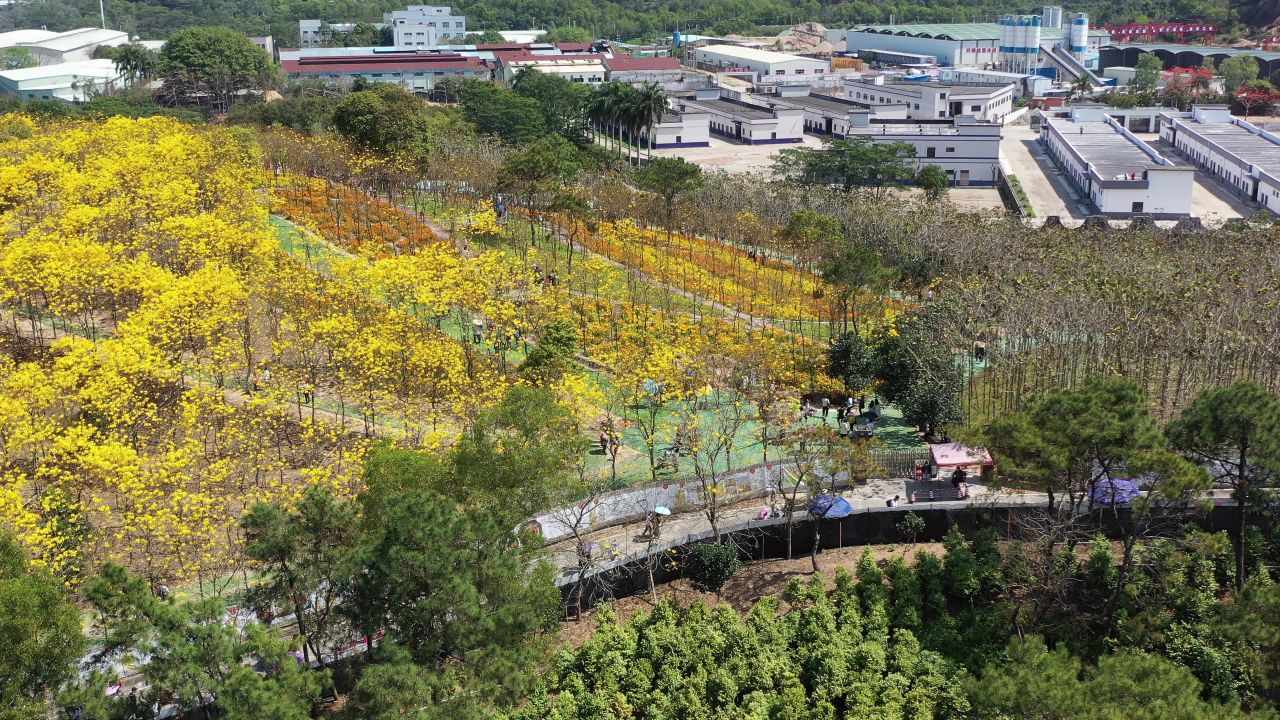 中山南朗云梯山
