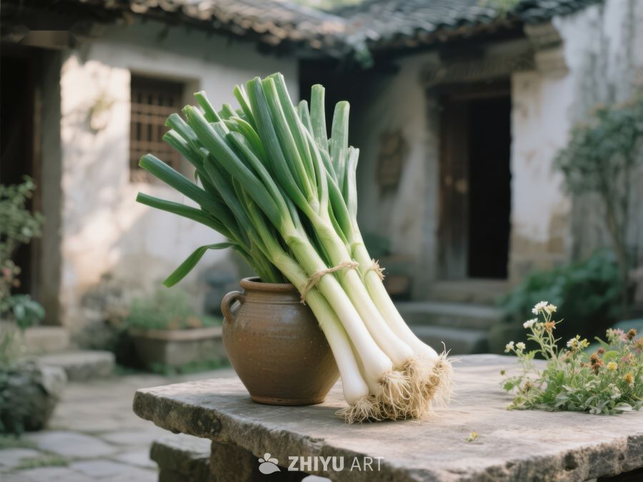 新鲜葱束置于陶罐之上 402