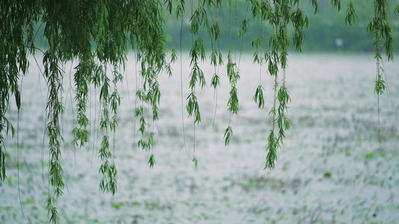 下雨