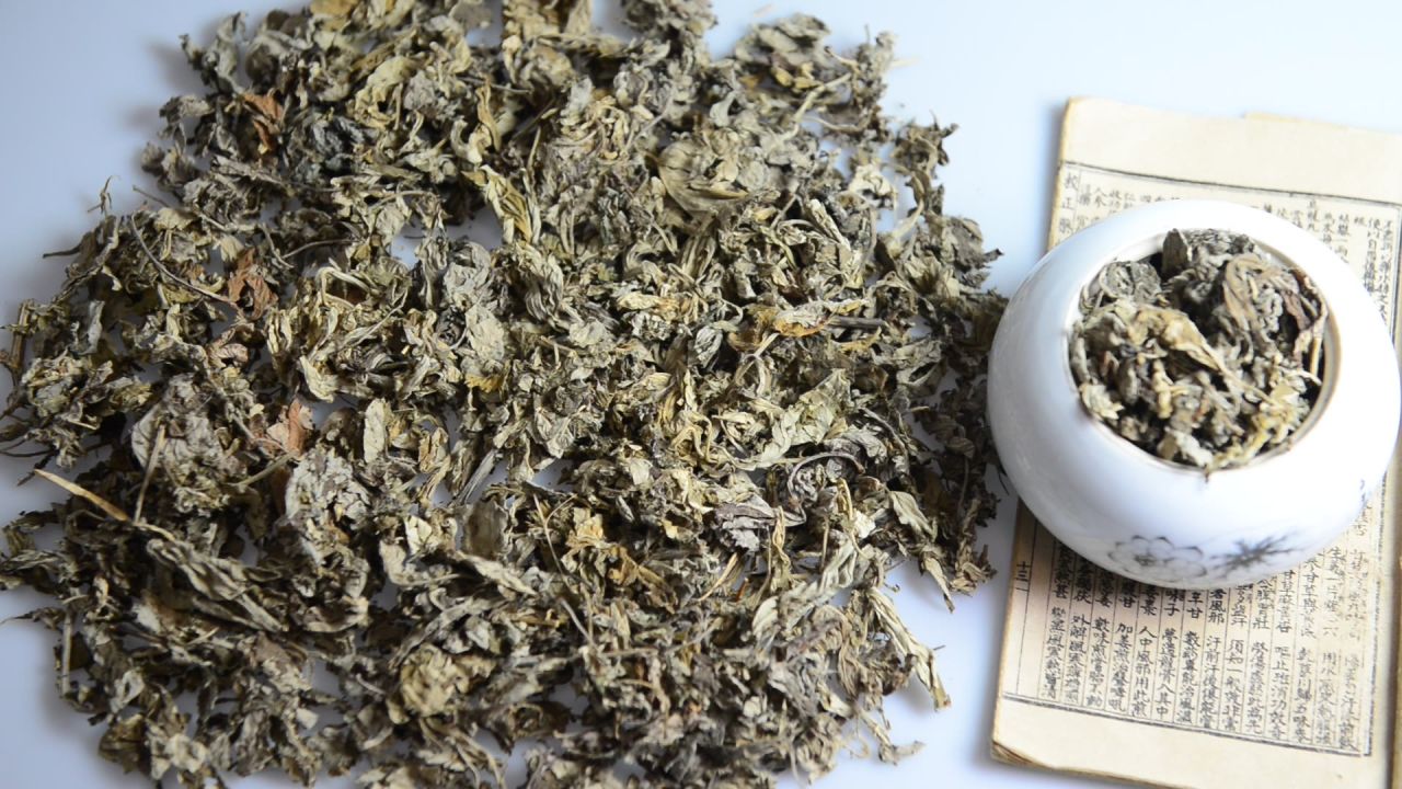 艾叶中草药 1