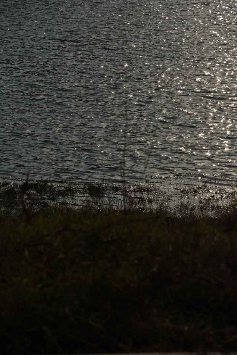 平静湖泊