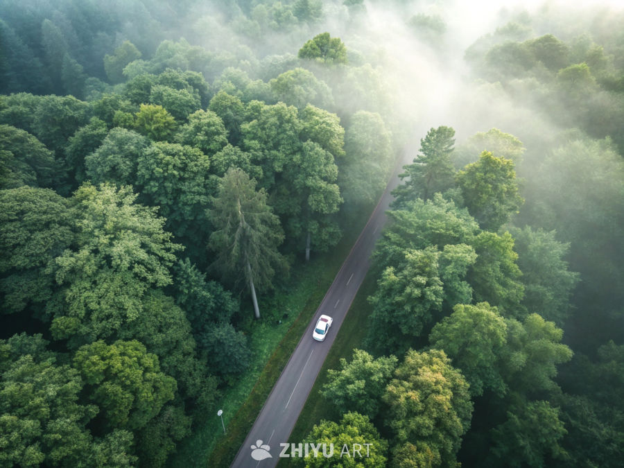 森林中的旅程