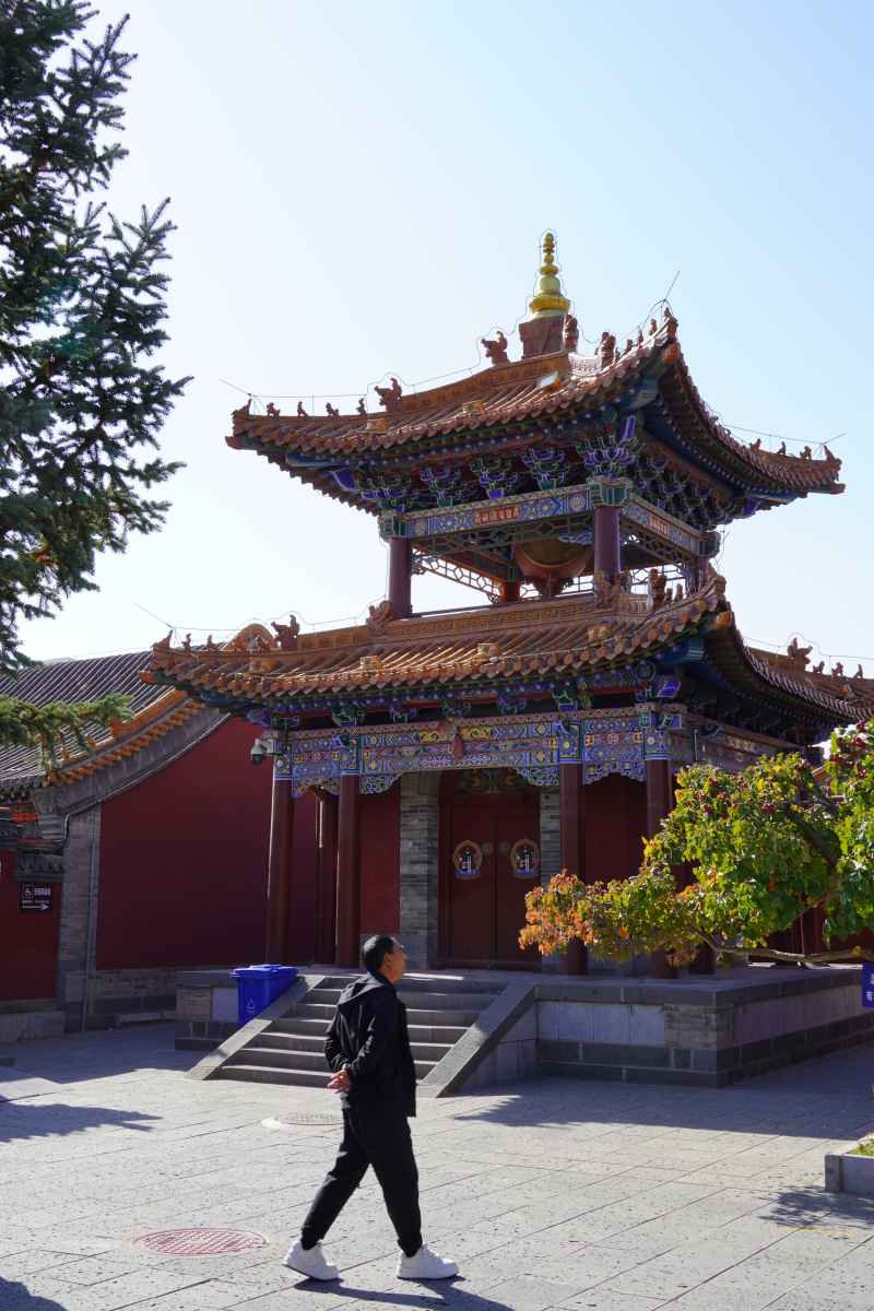 楼宇