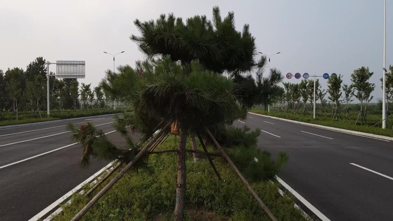 秦皇岛滨海新大道